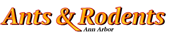 Ann Arbor Ant Exterminator & Rodent Control Company Logo